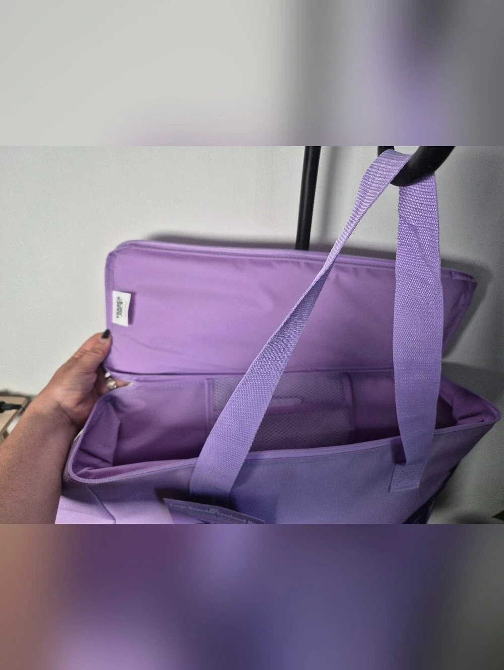 Trader Joe's LARGE Lavender Purple Cooler Bag
